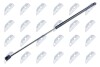 HOOD GAS SPRING - (5K0823359D) NTY AE-VW-029 (фото 1)