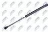 HOOD GAS SPRING - (1T0823359D) NTY AE-VW-037 (фото 1)