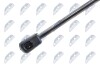 TAILGATE GAS SPRING - (3AF827550B) NTY AE-VW-070 (фото 2)