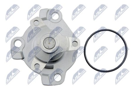 Фото 5 - Водяний насос NTY CPWNS081