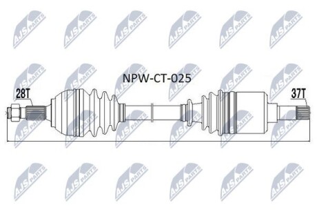 Зп - NTY NPWCT025