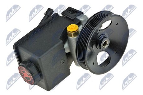 Power steering pump - NTY SPW-PL-011