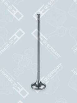 Exhaust valve - OE Germany 07 0520 846001