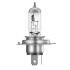 Лампа HS1 12V 35W PX43t FS STANDARD - OSRAM 64185 (фото 2)