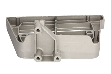 Фото 2 - Елемент кузова PACOL DAF-FS-008L (DAFFS008L)