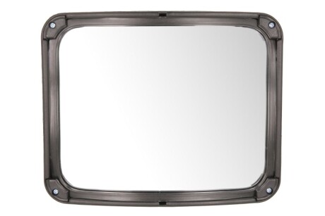 Фото 2 - Зеркало наружное PACOL DAFMR026