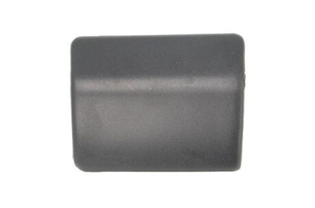 Елемент бампера (заглушка) передн Лів MAN F2000 01.94- - PACOL MANFB019L