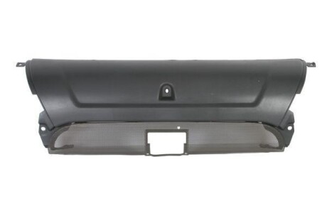 Решітка радіатора - PACOL SCAFP012