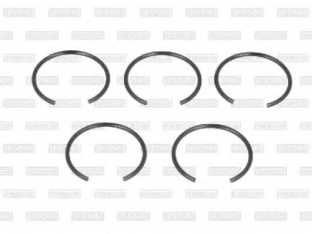 Фото 2 - Автозапчасть PASCAL CIRG1F04PC