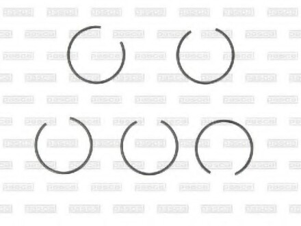 Фото 2 - Автозапчастина PASCAL CIRG1W06PC