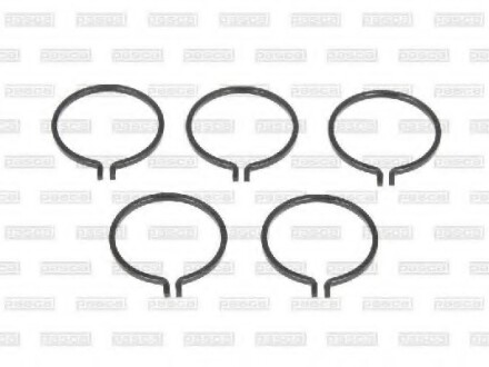 Фото 2 - Автозапчасть PASCAL CIRG1X03PC