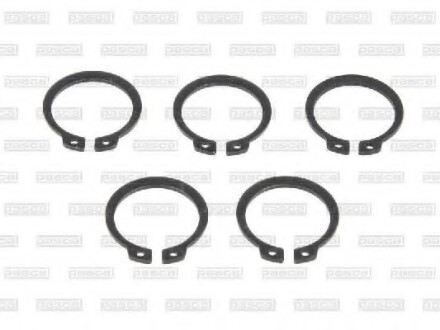 Фото 2 - Автозапчастина PASCAL CIRG7W01PC