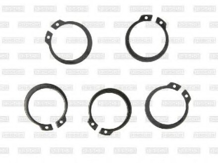 Фото 2 - Автозапчастина PASCAL CIRG7W02PC