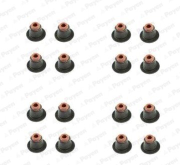 Сальник клапана (компл.) BMW N42/N46 (16PCS) - (11347505416, 11347505417, 11340029751) Payen HR5086