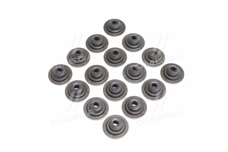 Фото 4 - Сальники клапанів Payen HR752