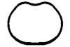 Ущільнення, впускний колектор - ((1142502, 2S6G9441CA, C20113111, 30711597)) Payen JD5866 (фото 1)