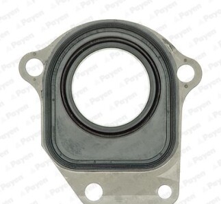 Ущільнювальне кільце вала, проміжний вал - ((6190948, 89FF6A735AA)) Payen NC044