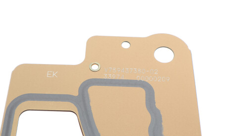 Фото 3 - Прокладка ГБК блока циліндрів Peugeot/Citroen 0209EW