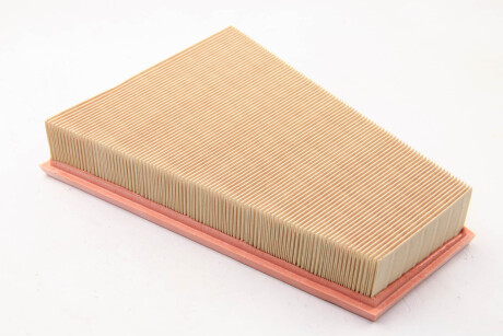 Фото 2 - Повітряний фільтр Peugeot/Citroen 1444WP