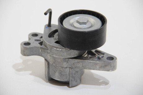 Фото 2 - Ролик ременя приводного Peugeot/Citroen 1611424580