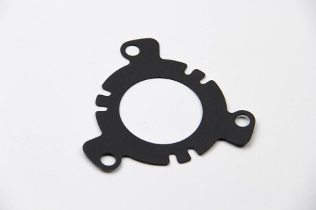 Елемент насосу Common Rail - Peugeot/Citroen 192724