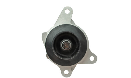 Фото 3 - Водяний насос PIERBURG 7.03170.04.0 (703170040)