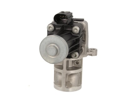 Egr valve, electric motor - PIERBURG 7.03295.03.0