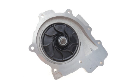 Фото 2 - Водяной насос PIERBURG 7.07152.15.0 (707152150)