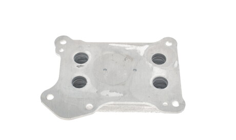 Фото 3 - Масляный радиатор PIERBURG 7.09269.52.0