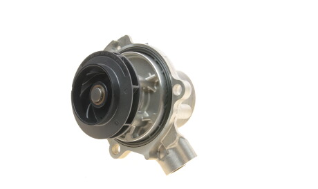 Фото 2 - Водяний насос PIERBURG 7.10942.02.0 (710942020)