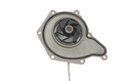 Фото 2 - Водяний насос PIERBURG 7.10942.04.0 (710942040)