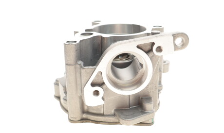 Фото 3 - Вакуумний насос PIERBURG 7.24807.28.0 (724807280)