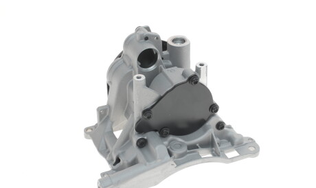 Фото 3 - Вакуумный насос PIERBURG 7.24808.25.0 (724808250)