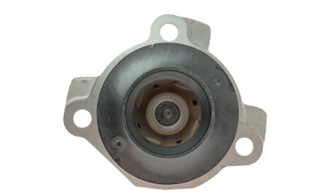 Фото 3 - Водяной насос PIERBURG 7.29509.10.0 (729509100)