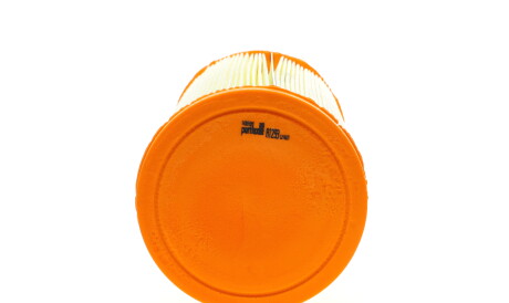 Фото 3 - Повітряний фільтр Purflux A1293