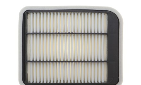 Фільтр повітряний Mitsubishi Galant IX 2.4 03-/Grandis 2.0 DI-D/2.4 MIVEC 04-11 - Purflux A3043