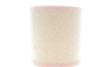 Фільтр повітряний Audi A6 3.0TDI Hybrid 18- - ((4K0133844)) Purflux A3055