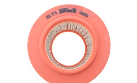 Фото 3 - Воздушный фильтр Purflux A3088