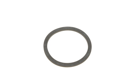 Фото 2 - Паливний фільтр Purflux C481