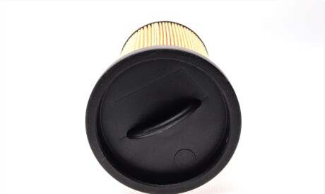 Фото 2 - Паливний фільтр Purflux C483