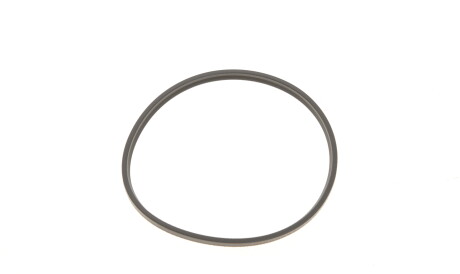 Фото 2 - Паливний фільтр Purflux C495E