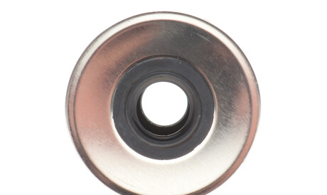 Фото 3 - Паливний фільтр Purflux C527