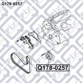 Фото 3 - Ролик ременя приводного Q-fix Q1780257