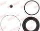 Ремкомплект, тормозной суппорт - QUICK BRAKE 114-0322 (фото 1)