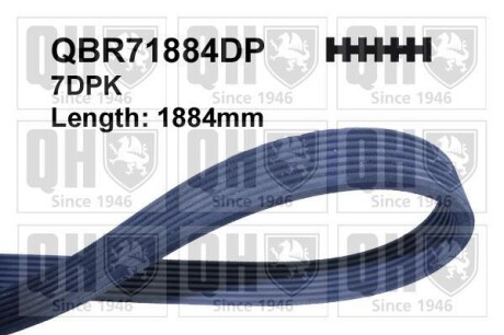 Поликлиновой ремень - QUINTON HAZELL QBR71884DP