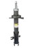 Амортизатор передній Mazda CX9 06- (газ.) Л. - ((TD1334900E, TD1334900D, TD1134900C)) RAISO RS339141 (фото 1)