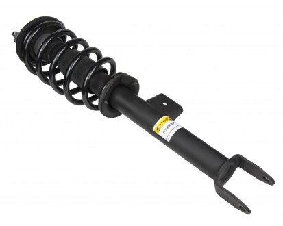 Амортизатор передній пр. Tesla Model 3 RWD - RAISO RS436901