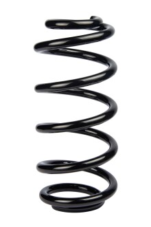 Пружина передня Audi A4 B6/B7 00-08 (316*15*139) - ((8E0411105BG)) RAISO SF122TP