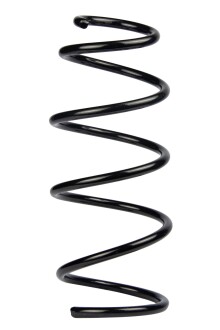 Пружина передня BMW 1 (E81/E82/E87/E88), 3 (E90/E91/E92/E93) 04-13 (363*12*149) - RAISO SF136TP