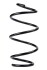 Пружина передня BMW 2 (F22/F23/F87), 3 (F30/F31/F34/F80) 11- (332*12*159) - ((6851716, 31336851716, 31336851715)) RAISO SF137TP (фото 1)